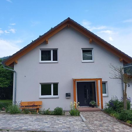 Fewo Am Neckarsteig Mit Anbindung An Heidelberg Neckarsteinach Kültér fotó