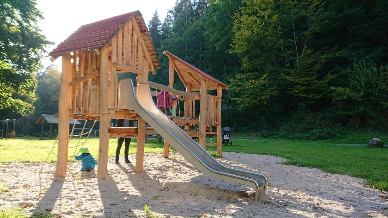 Fewo Am Neckarsteig Mit Anbindung An Heidelberg Neckarsteinach Kültér fotó
