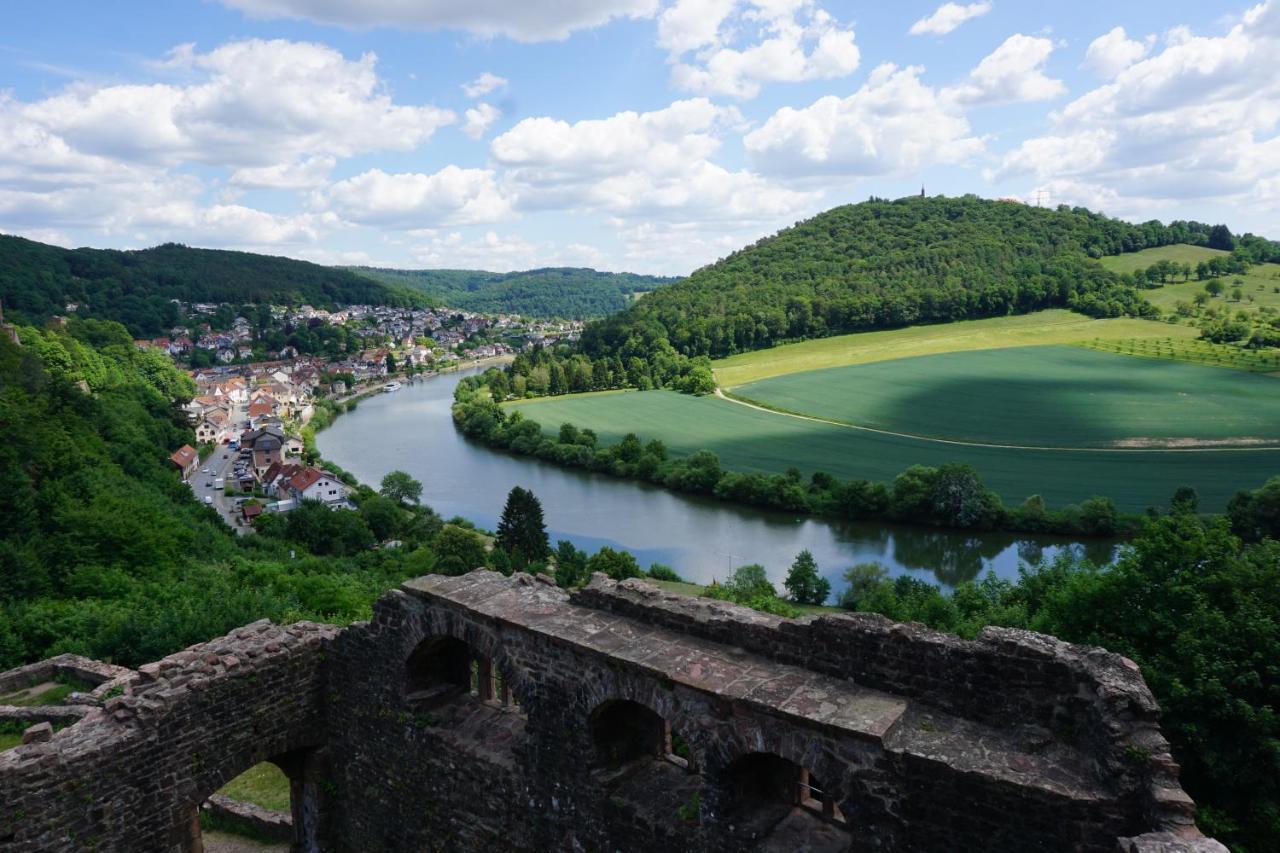 Fewo Am Neckarsteig Mit Anbindung An Heidelberg Neckarsteinach Kültér fotó