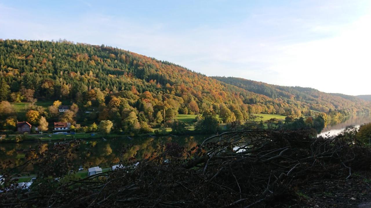 Fewo Am Neckarsteig Mit Anbindung An Heidelberg Neckarsteinach Kültér fotó
