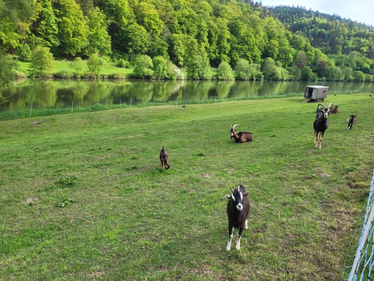 Fewo Am Neckarsteig Mit Anbindung An Heidelberg Neckarsteinach Kültér fotó