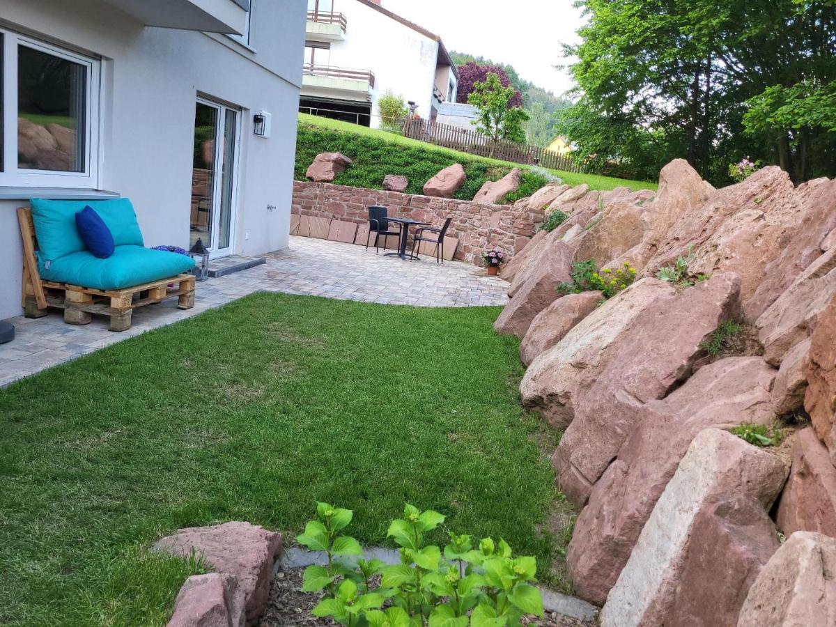 Fewo Am Neckarsteig Mit Anbindung An Heidelberg Neckarsteinach Kültér fotó