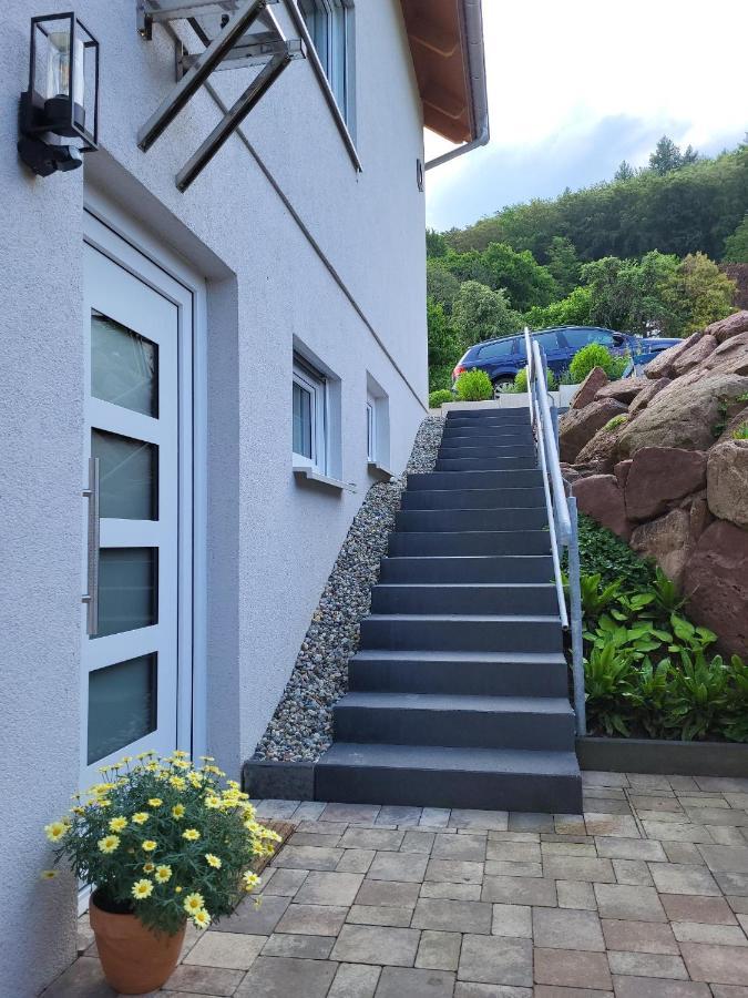 Fewo Am Neckarsteig Mit Anbindung An Heidelberg Neckarsteinach Kültér fotó